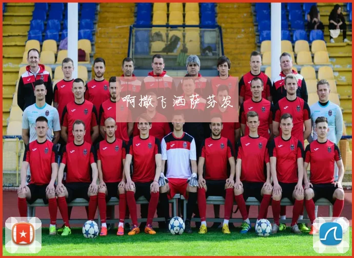 专业体育平台推荐：直播吧足球录播观看指南