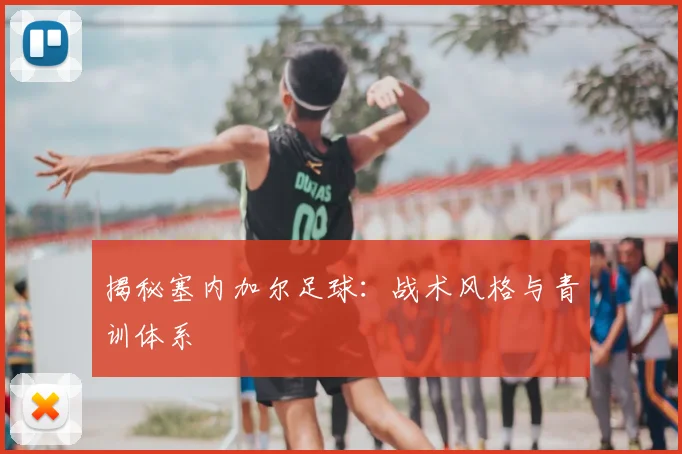 揭秘塞内加尔足球：战术风格与青训体系