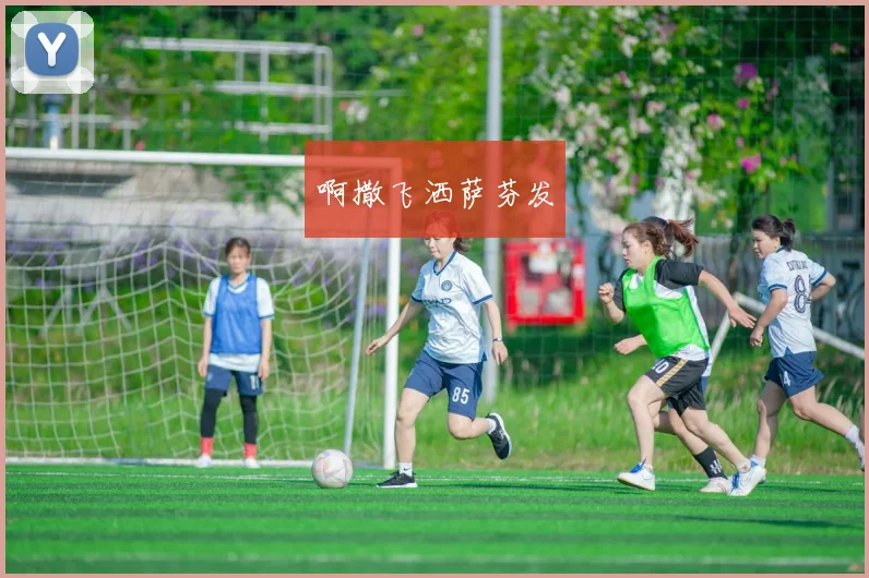 专业体育平台推荐：直播吧足球录播观看指南