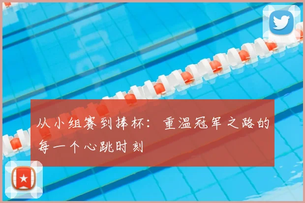 从小组赛到捧杯：重温冠军之路的每一个心跳时刻