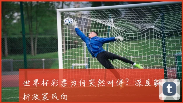世界杯彩票为何突然叫停?深度解析政策风向