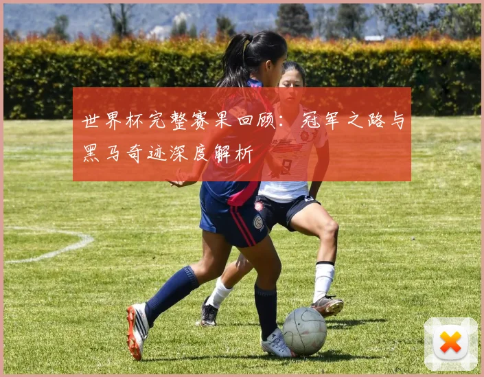 世界杯完整赛果回顾：冠军之路与黑马奇迹深度解析