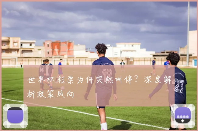 世界杯彩票为何突然叫停?深度解析政策风向